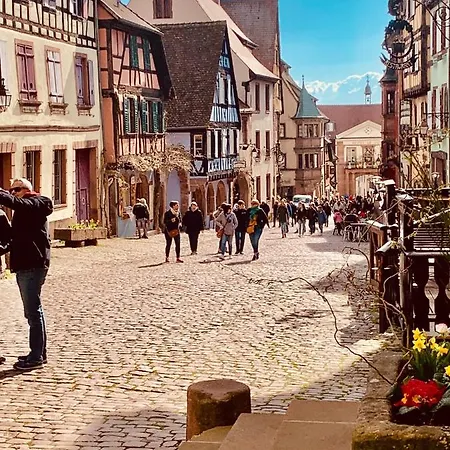 La Ruelle Alsacienne, Charme Alsacien Et Confort Moderne