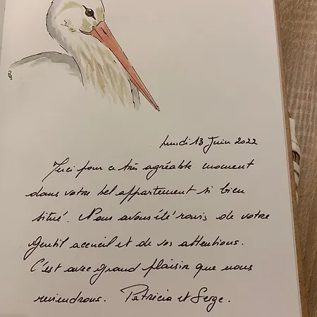 La Ruelle Alsacienne, Charme Alsacien Et Confort Moderne Appartamento *